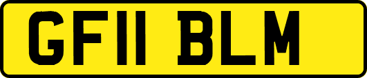GF11BLM