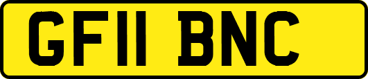 GF11BNC