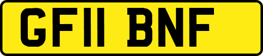 GF11BNF