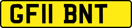 GF11BNT
