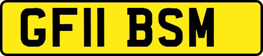 GF11BSM