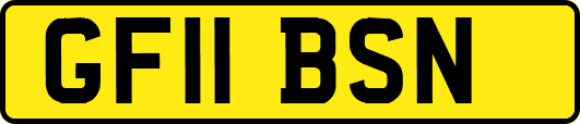 GF11BSN