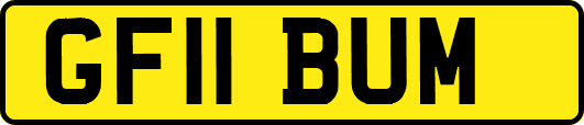 GF11BUM