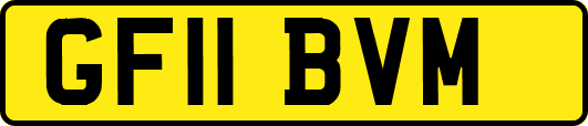 GF11BVM