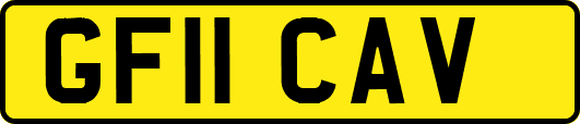 GF11CAV