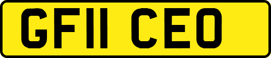 GF11CEO
