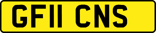 GF11CNS