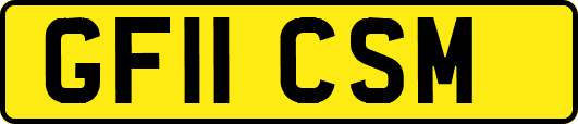 GF11CSM