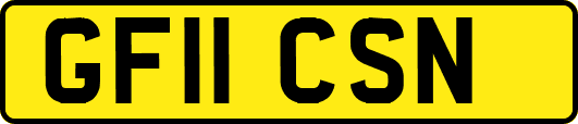 GF11CSN