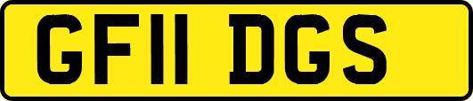 GF11DGS