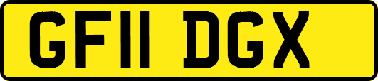 GF11DGX