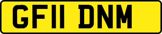 GF11DNM