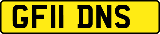 GF11DNS