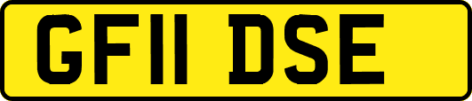 GF11DSE