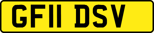 GF11DSV