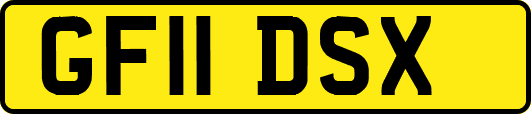 GF11DSX
