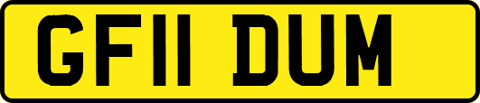 GF11DUM