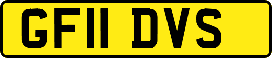 GF11DVS
