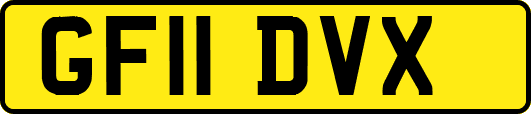 GF11DVX