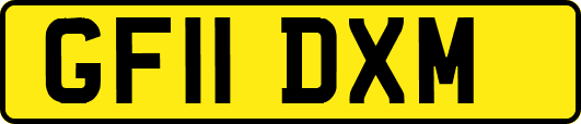 GF11DXM