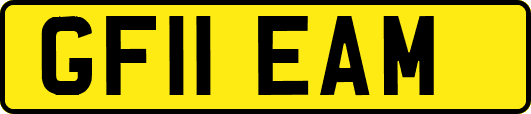 GF11EAM