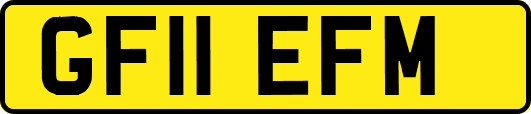 GF11EFM