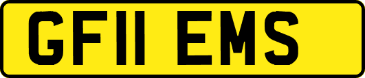 GF11EMS