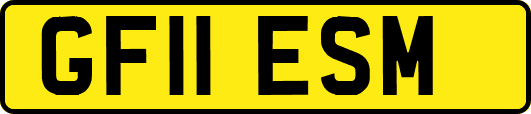 GF11ESM