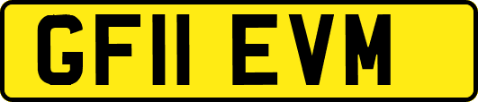 GF11EVM