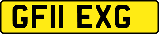 GF11EXG