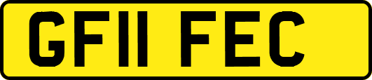 GF11FEC