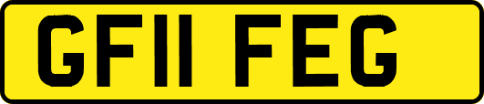 GF11FEG