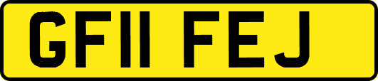 GF11FEJ
