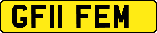 GF11FEM