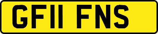 GF11FNS