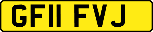 GF11FVJ
