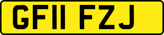 GF11FZJ