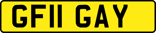 GF11GAY