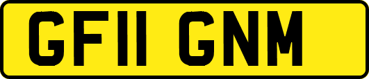GF11GNM