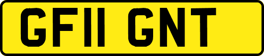 GF11GNT