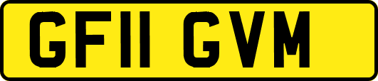 GF11GVM