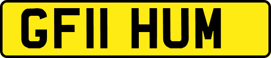 GF11HUM