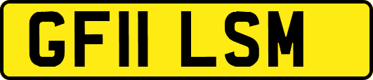 GF11LSM