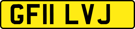 GF11LVJ