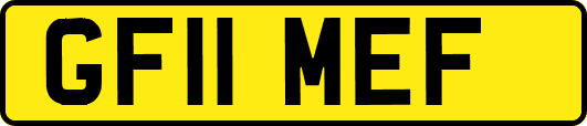 GF11MEF