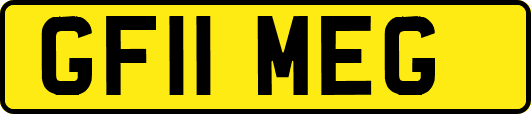 GF11MEG