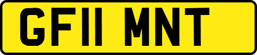 GF11MNT