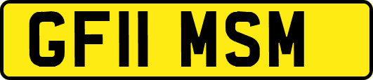 GF11MSM