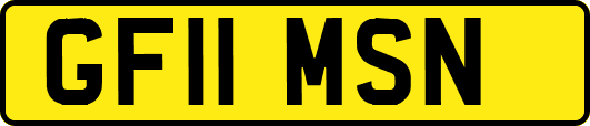 GF11MSN