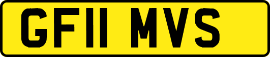 GF11MVS